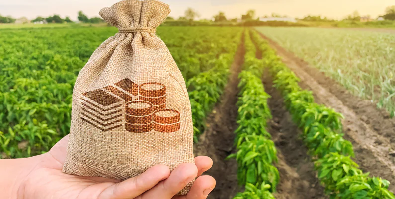 Prorrogação de crédito rural