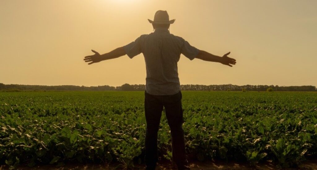 alongamento de dívidas rurais em MG