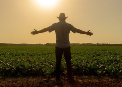 alongamento de dívidas rurais em MG