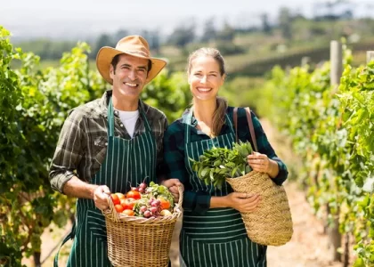 Como Solicitar Alongamento de Dívida Rural