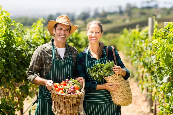Como Solicitar Alongamento de Dívida Rural