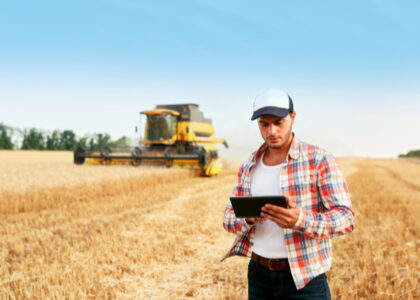 laudo de capacidade de pagamento