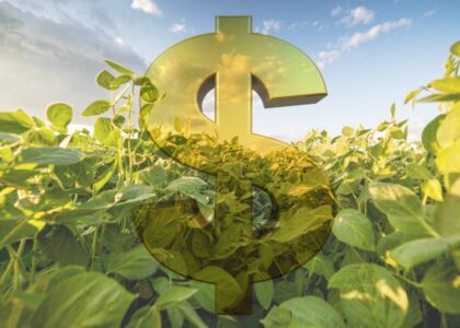 Prorrogação da Dívida Rural