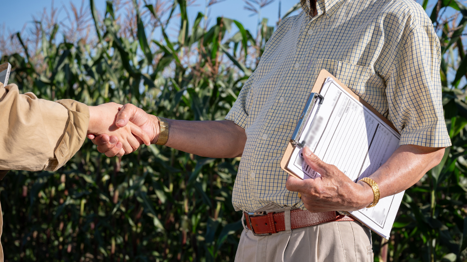 Requisitos para o Alongamento da Dívida Rural