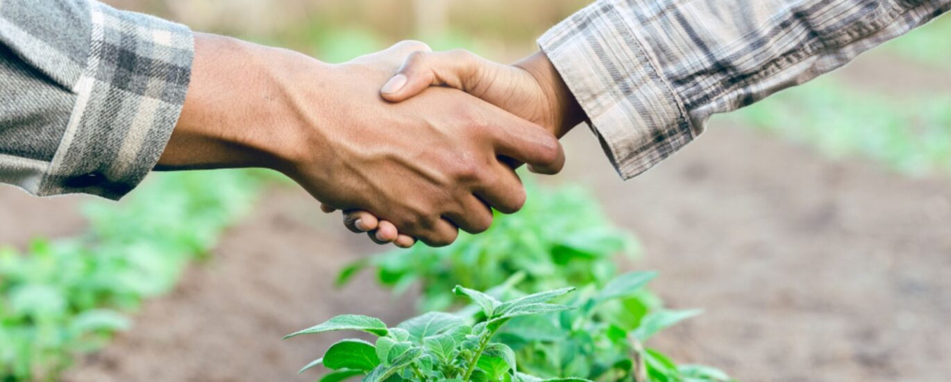 Laudo de Capacidade de Pagamento Produtor Rural