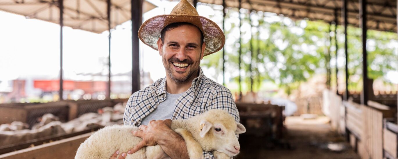 laudo de frustração de safra