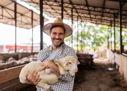 laudo de frustração de safra
