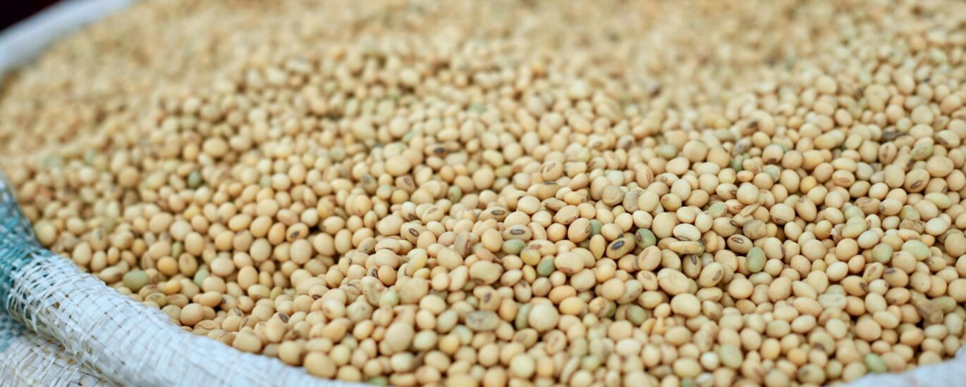 Alongamento de Dívida Rural Produtor de Soja