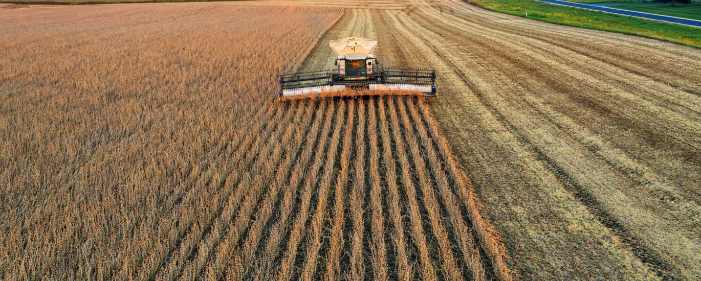 Prorrogação de Dívida Rural Para Produtor de Soja