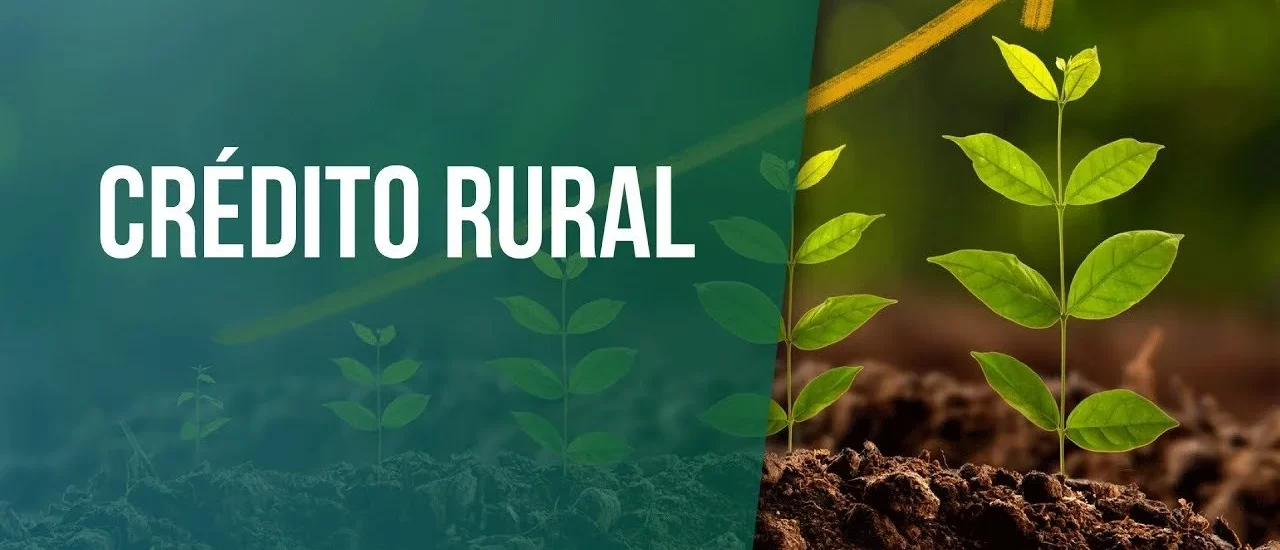 alongamento de dívida rural originada do crédito rural