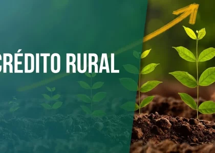alongamento de dívida rural originada do crédito rural