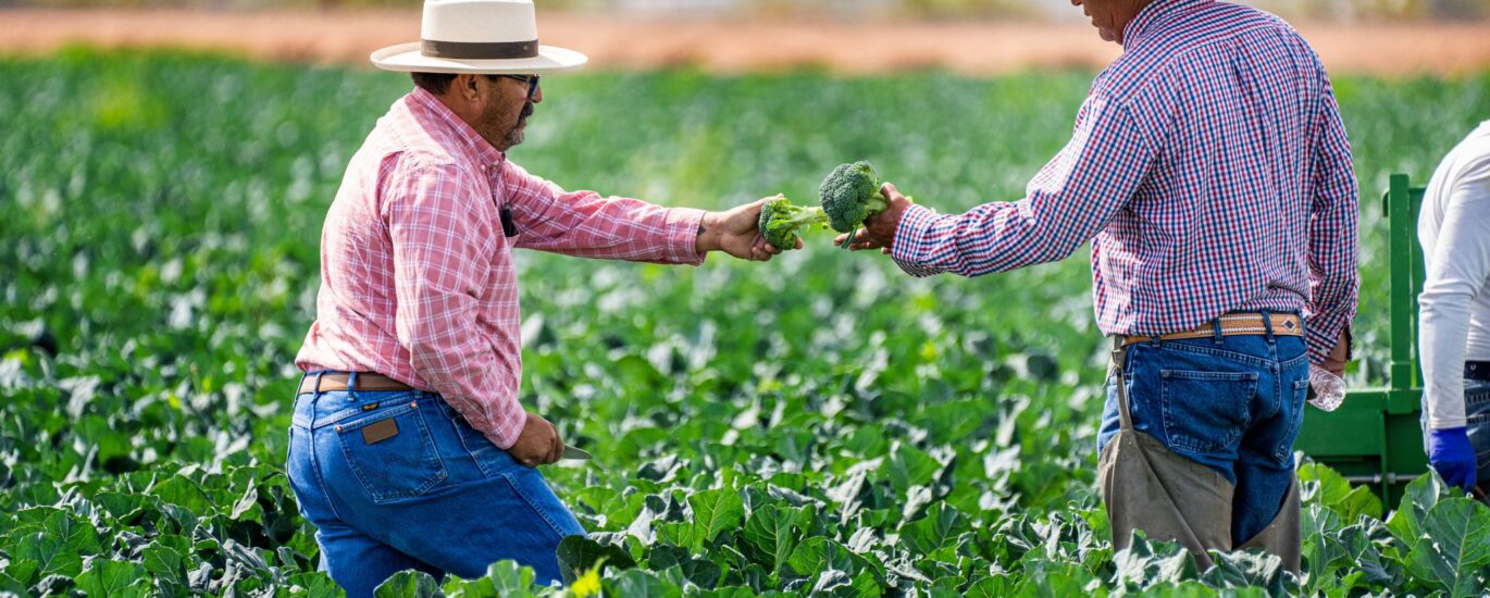 Renegociação de Crédito Rural