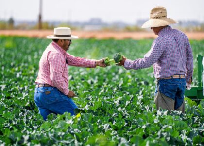 Renegociação de Crédito Rural