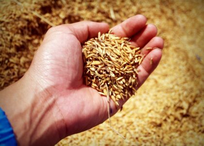 Como Funciona o Alongamento da Dívida Rural