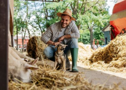 Alongamento da Dívida Rural