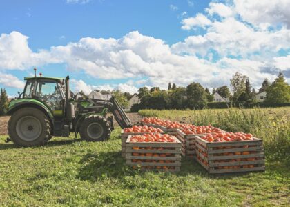 Como Funciona o Alongamento das Dívidas Rurais