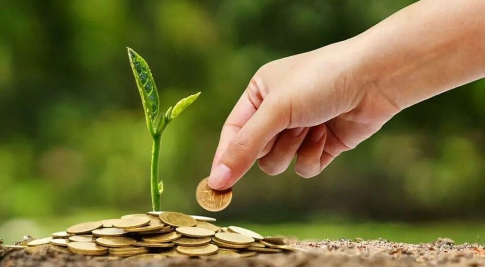 Como Conseguir Crédito Rural