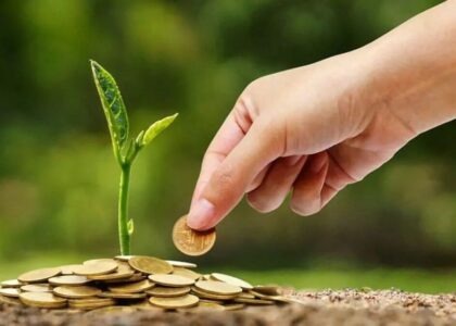 Como Conseguir Crédito Rural