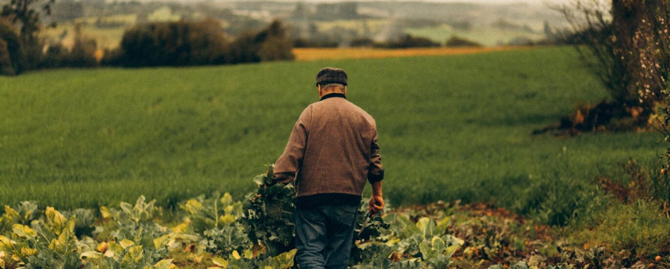 recuperação judicial para produtores rurais