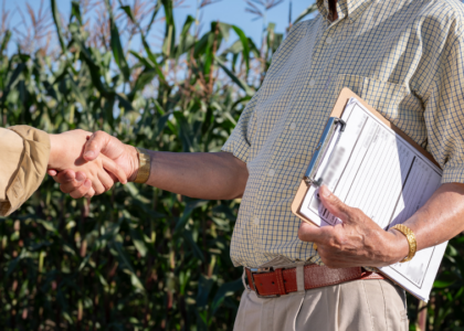 passo a passo para conseguir o alongamento rural