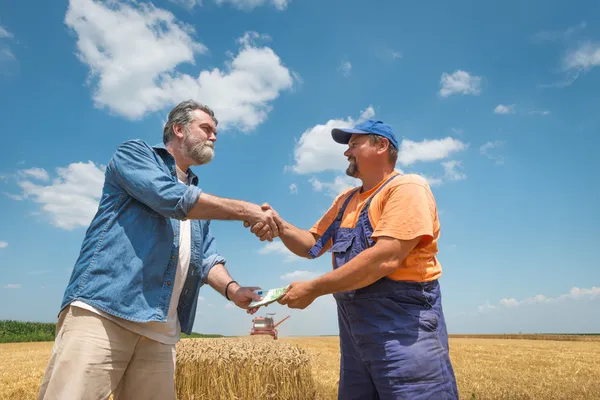 Renegociação Bancária E Alongamento De Dívida Rural
