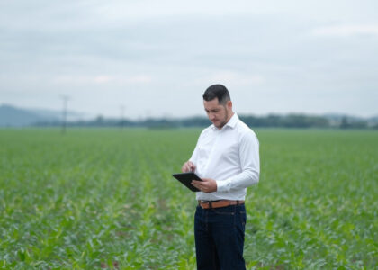 Dívidas Rurais Bancárias