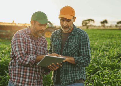 Banco Negou Alongamento Rural