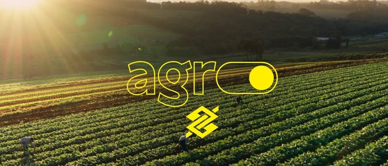 Alongar Minha Dívida Rural