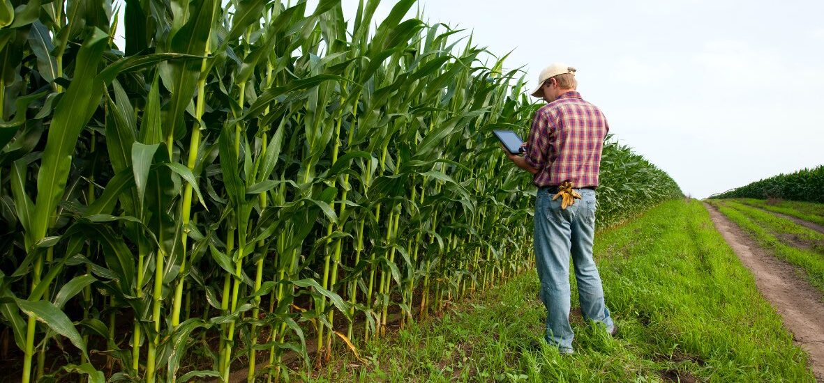 Produtor Rural Negativado