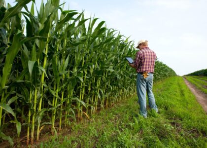 Produtor Rural Negativado
